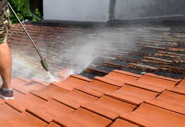Best Exterior Home Cleaning  in Minorca, LA