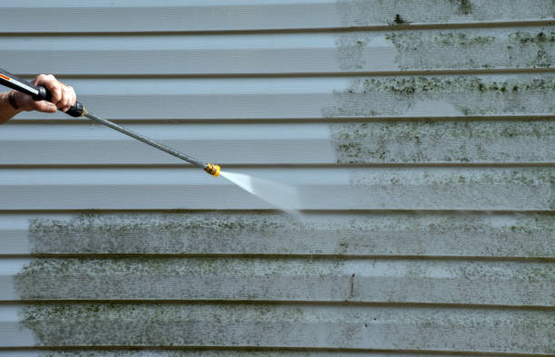 Best Roof Power Washing Services  in Minorca, LA
