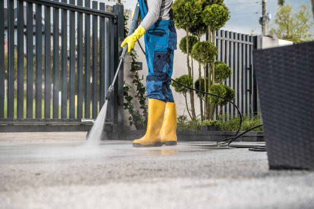 Best Roof Power Washing Services  in Minorca, LA