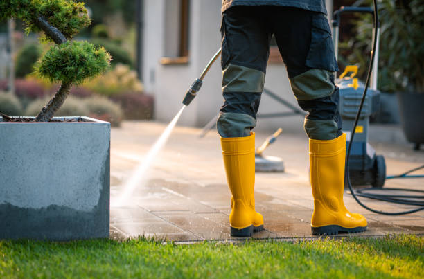 Best Pressure Washing Near Me  in Minorca, LA